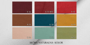 skry-naturalne-kolor-scaled-1-1024x516-1.jpg